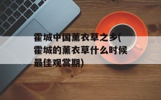 霍城中国薰衣草之乡(霍城的薰衣草什么时候最佳观赏期)