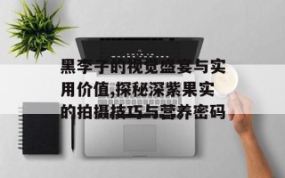 黑李子的视觉盛宴与实用价值,探秘深紫果实的拍摄技巧与营养密码