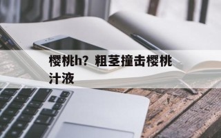 樱桃h？粗茎撞击樱桃汁液