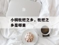 小稠枇杷之乡，枇杷之乡是哪里