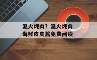 温火炖肉？温火炖肉 海鲜皮皮酱免费阅读