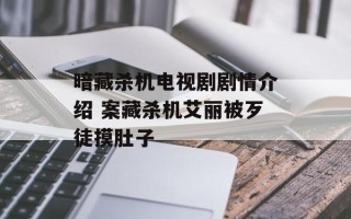 暗藏杀机电视剧剧情介绍 案藏杀机艾丽被歹徒摸肚子