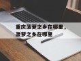 重庆菠萝之乡在哪里，菠萝之乡在哪里
