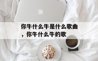 你牛什么牛是什么歌曲，你牛什么牛的歌