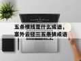 五条横线是什么成语，塞外云径三五条猜成语