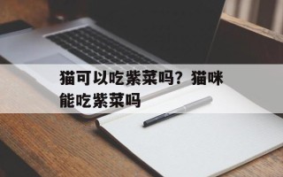 猫可以吃紫菜吗？猫咪能吃紫菜吗