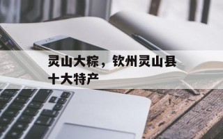 灵山大粽，钦州灵山县十大特产