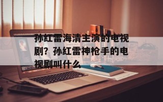 孙红雷海清主演的电视剧？孙红雷神枪手的电视剧叫什么