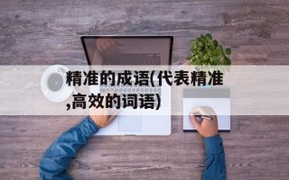 精准的成语(代表精准,高效的词语)