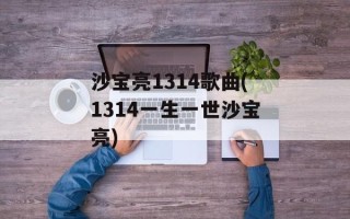沙宝亮1314歌曲(1314一生一世沙宝亮)