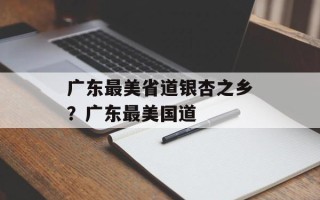 广东最美省道银杏之乡？广东最美国道