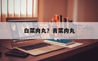 白菜肉丸？青菜肉丸