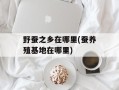 野蚕之乡在哪里(蚕养殖基地在哪里)