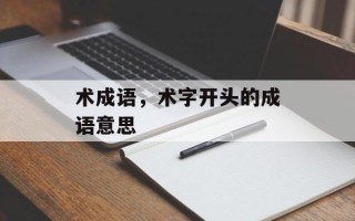 术成语，术字开头的成语意思