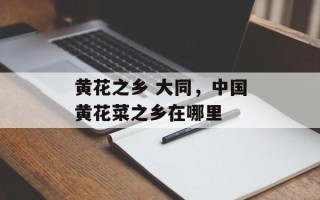 黄花之乡 大同，中国黄花菜之乡在哪里
