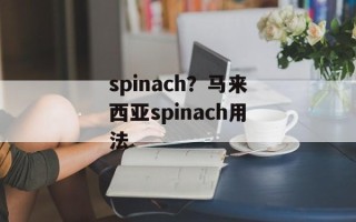 spinach？马来西亚spinach用法