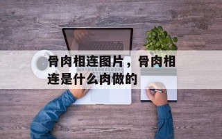 骨肉相连图片，骨肉相连是什么肉做的