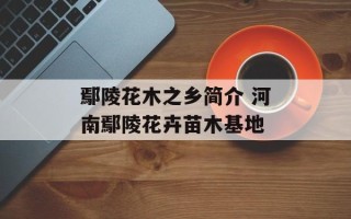 鄢陵花木之乡简介 河南鄢陵花卉苗木基地