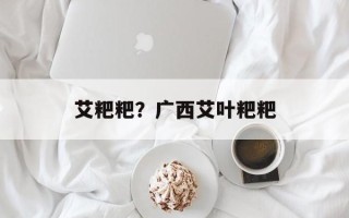 艾粑粑？广西艾叶粑粑