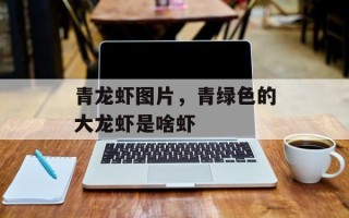 青龙虾图片，青绿色的大龙虾是啥虾