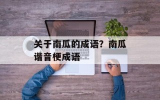 关于南瓜的成语？南瓜谐音梗成语
