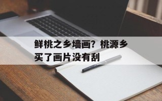 鲜桃之乡墙画？桃源乡买了画片没有刮