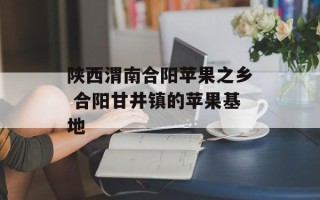 陕西渭南合阳苹果之乡 合阳甘井镇的苹果基地