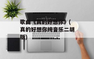 歌曲《真的好想你》(真的好想你纯音乐二胡版)