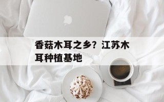 香菇木耳之乡？江苏木耳种植基地