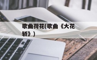 歌曲荷花(歌曲《大花轿》)