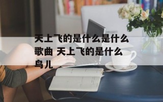 天上飞的是什么是什么歌曲 天上飞的是什么鸟儿