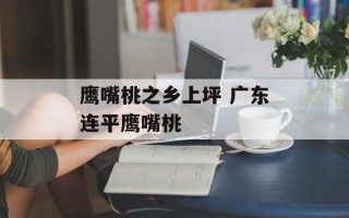 鹰嘴桃之乡上坪 广东连平鹰嘴桃