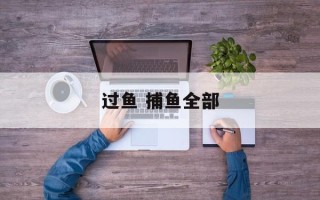 过鱼 捕鱼全部