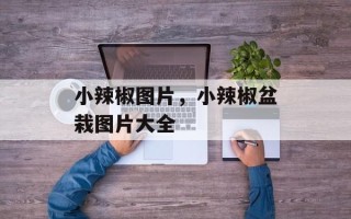 小辣椒图片，小辣椒盆栽图片大全