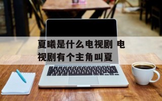 夏曦是什么电视剧 电视剧有个主角叫夏