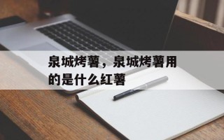 泉城烤薯，泉城烤薯用的是什么红薯