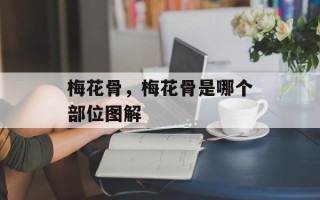 梅花骨，梅花骨是哪个部位图解