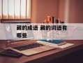 藏的成语 藏的词语有哪些