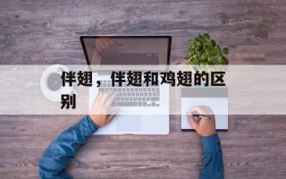 伴翅，伴翅和鸡翅的区别
