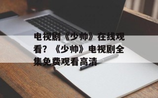电视剧《少帅》在线观看？《少帅》电视剧全集免费观看高清