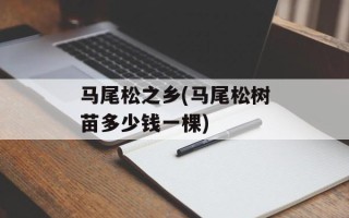 马尾松之乡(马尾松树苗多少钱一棵)