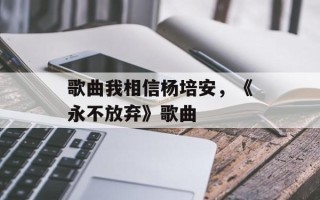 歌曲我相信杨培安，《永不放弃》歌曲