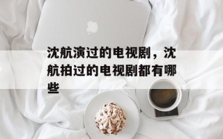 沈航演过的电视剧，沈航拍过的电视剧都有哪些