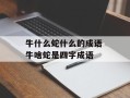 牛什么蛇什么的成语 牛啥蛇是四字成语