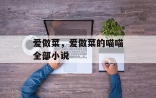 爱做菜，爱做菜的喵喵全部小说