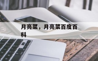 月亮菜，月亮菜百度百科