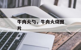 牛肉火勺，牛肉火烧图片