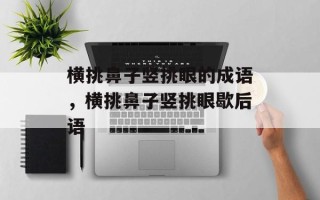 横挑鼻子竖挑眼的成语，横挑鼻子竖挑眼歇后语