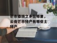 芒市傣族之乡在哪里，云南芒市特产有哪些土特产