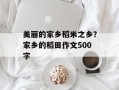 美丽的家乡稻米之乡？家乡的稻田作文500字
